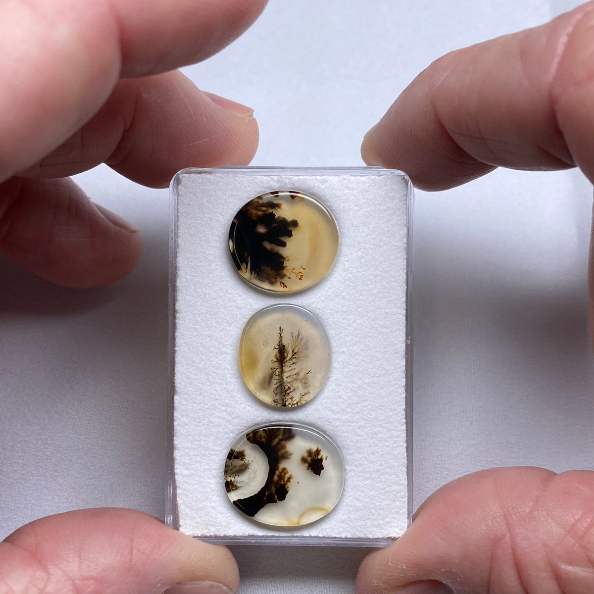 Dendritic Agate - Brazil