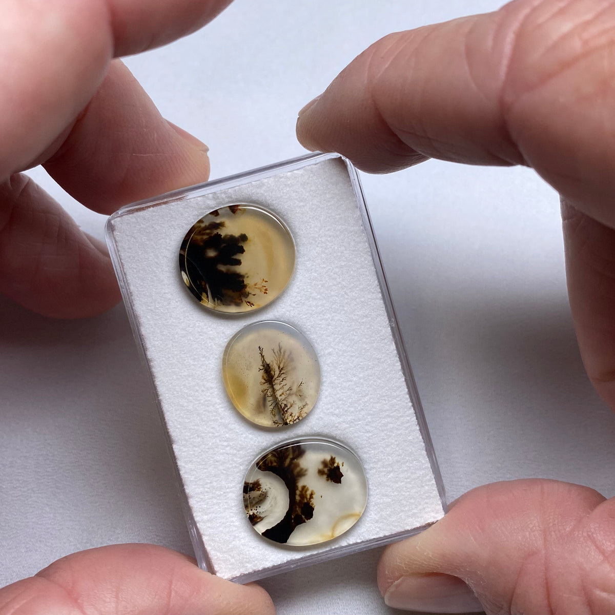 Dendritic Agate - Brazil