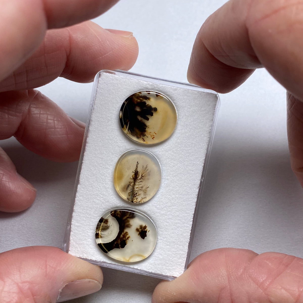 Dendritic Agate - Brazil