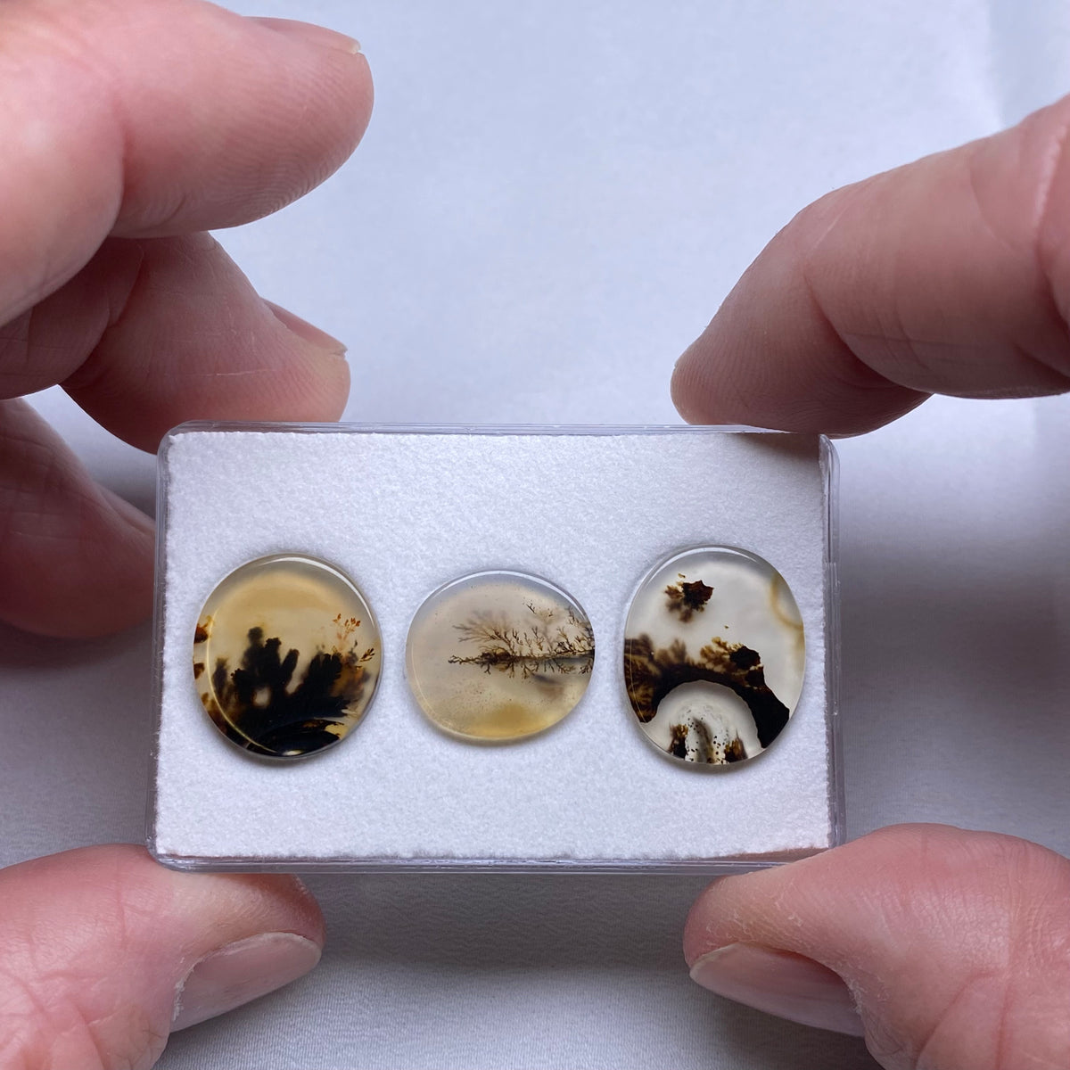 Dendritic Agate - Brazil