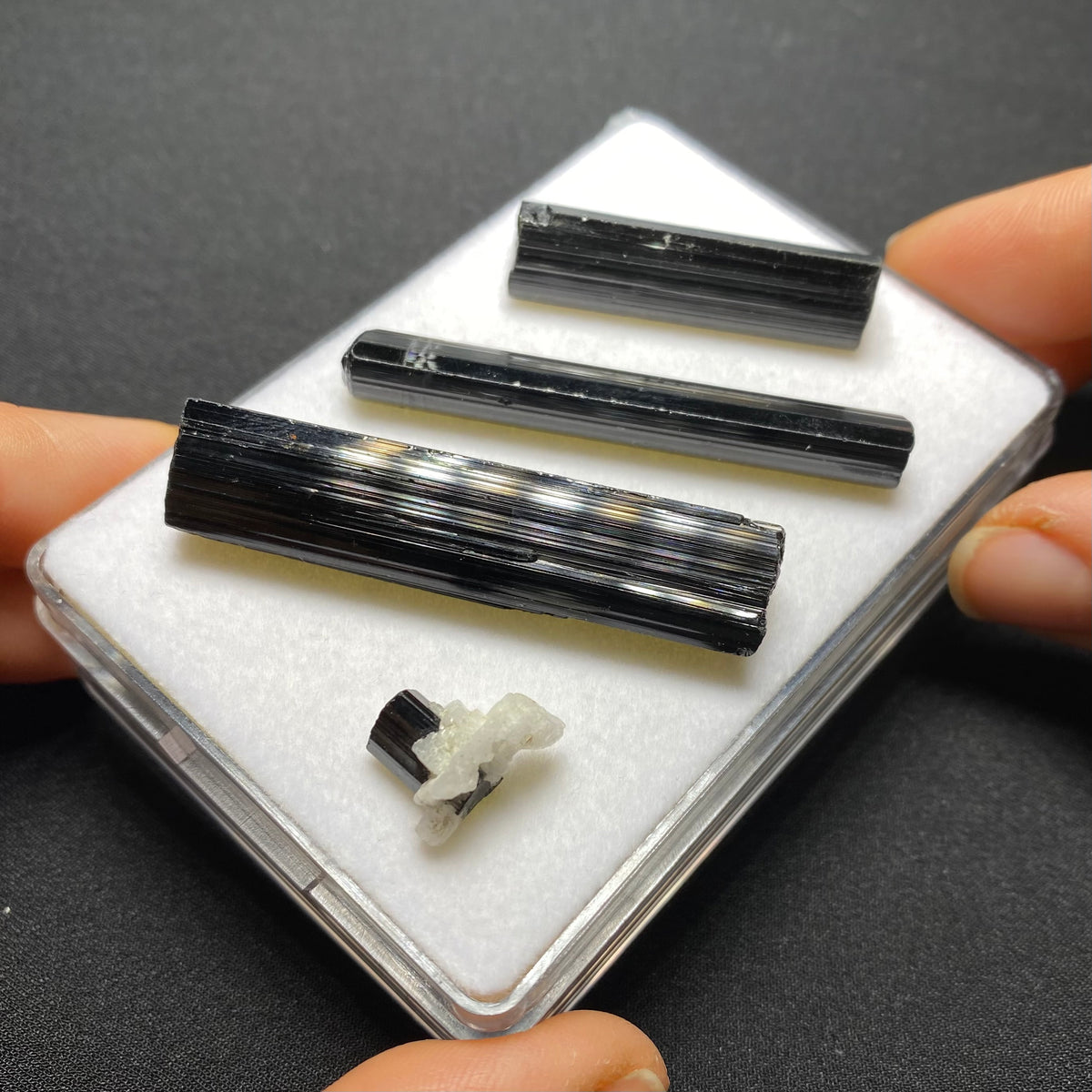 Black Tourmaline Crystals