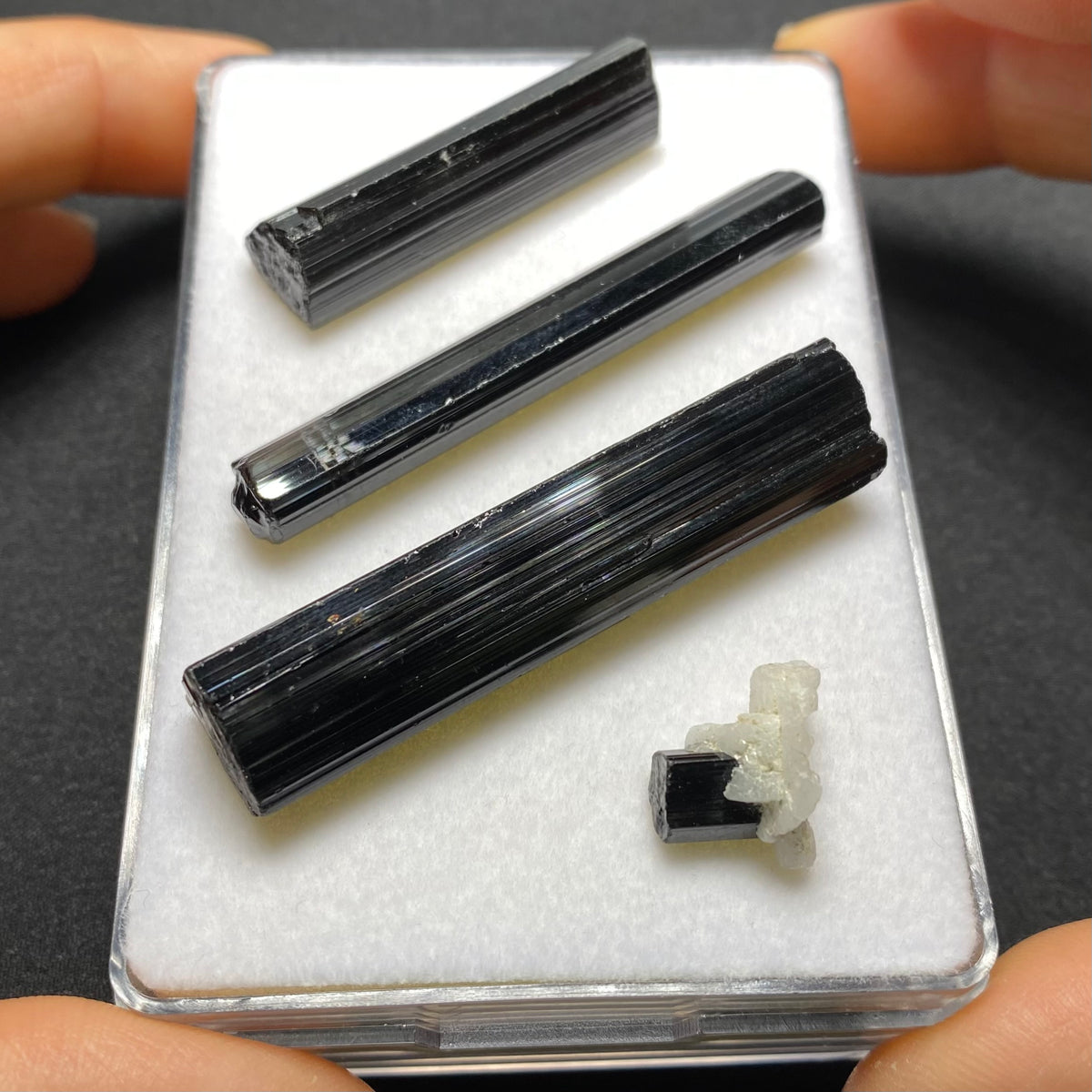 Black Tourmaline Crystals