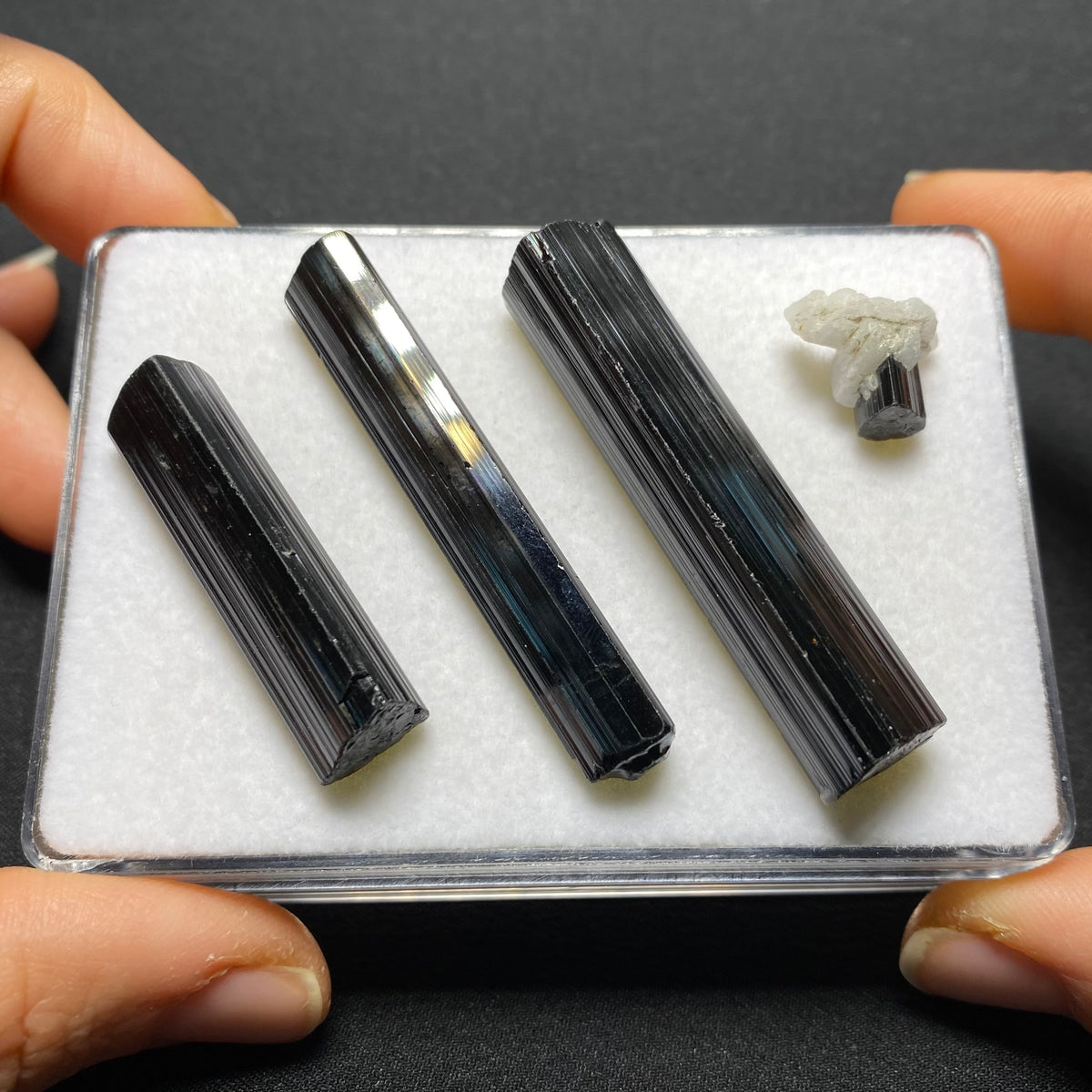 Black Tourmaline Crystals