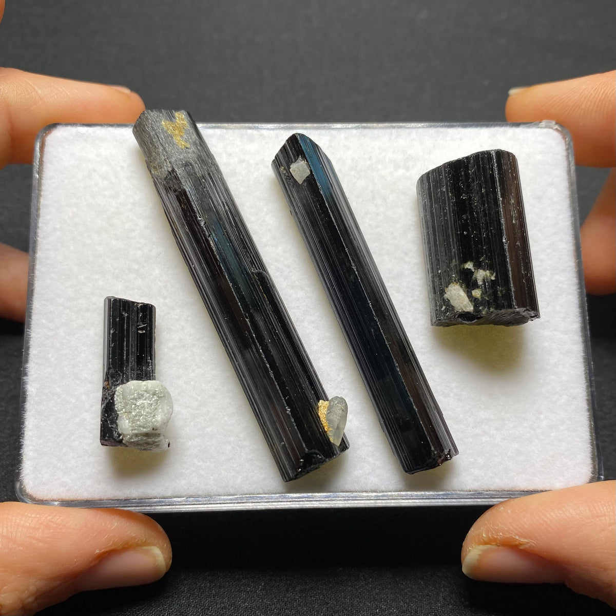 Black Tourmaline Crystal