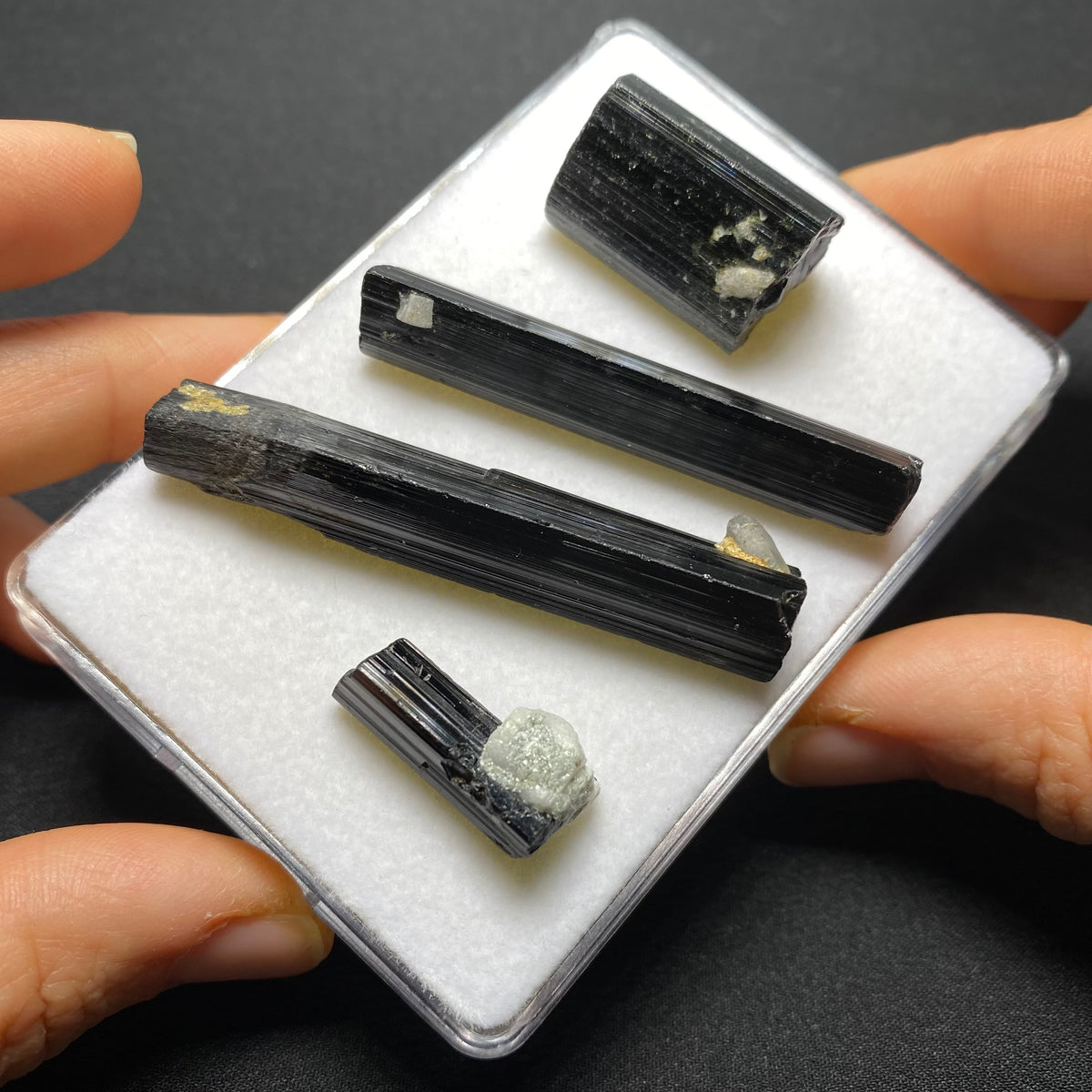 Black Tourmaline Crystal