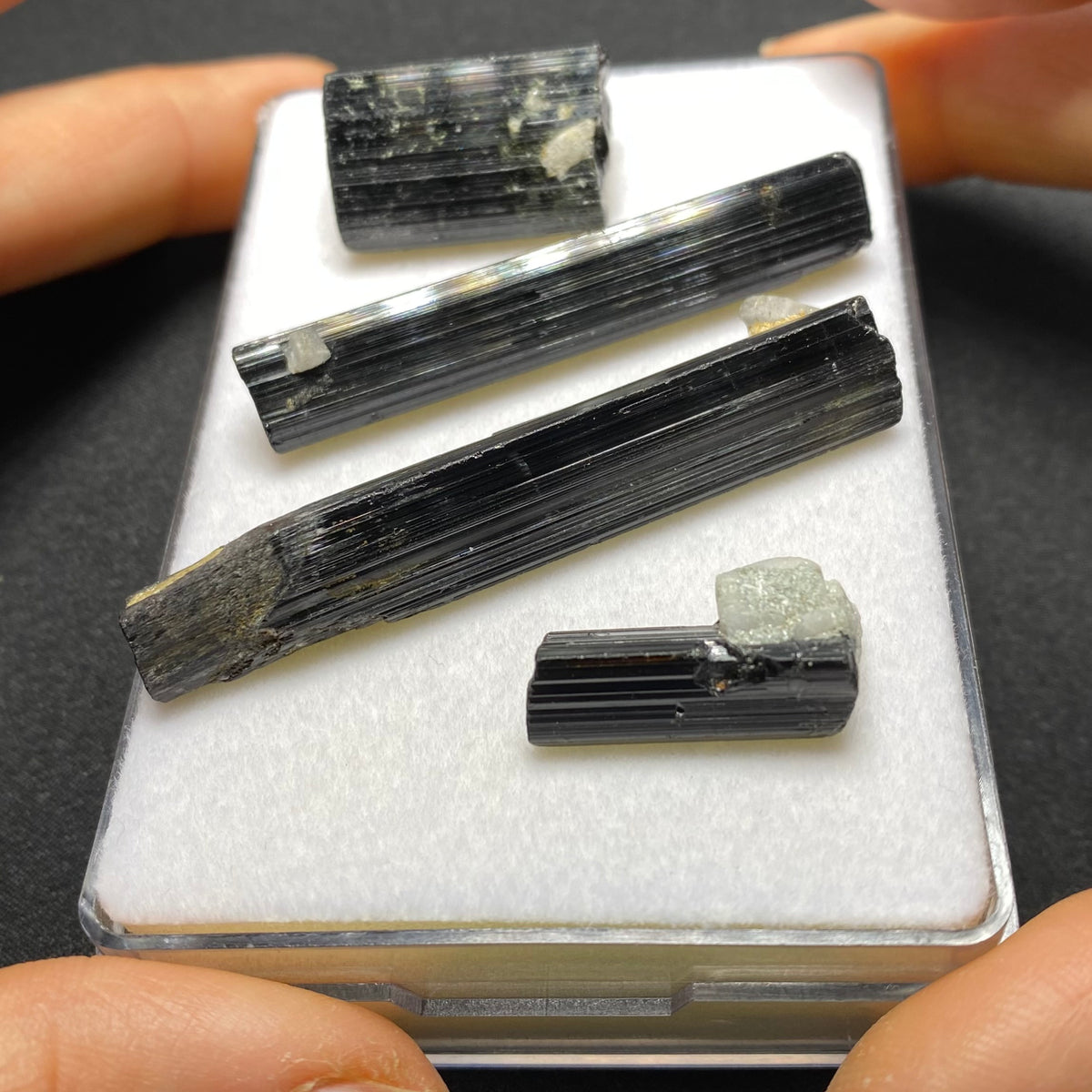 Black Tourmaline Crystal