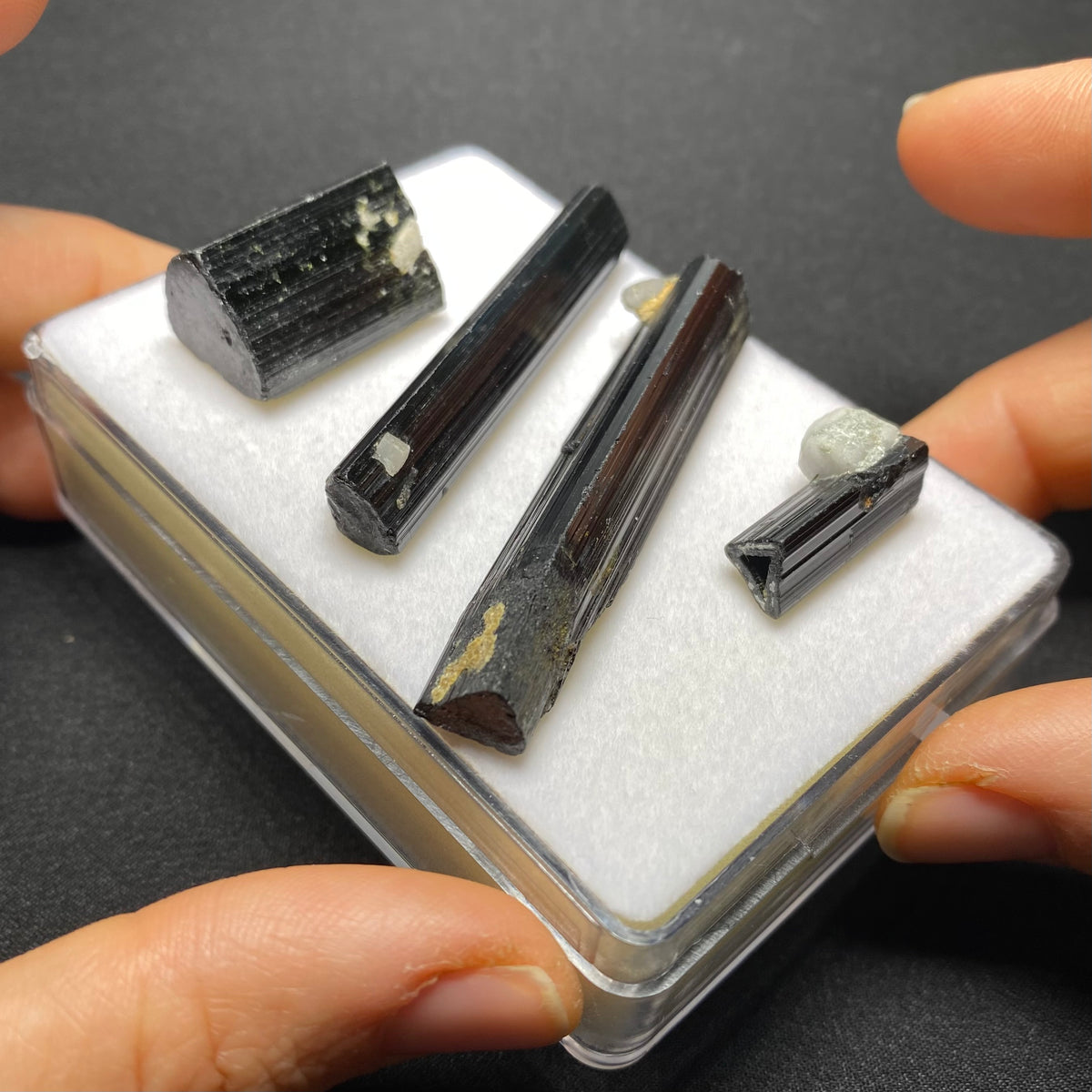 Black Tourmaline Crystal