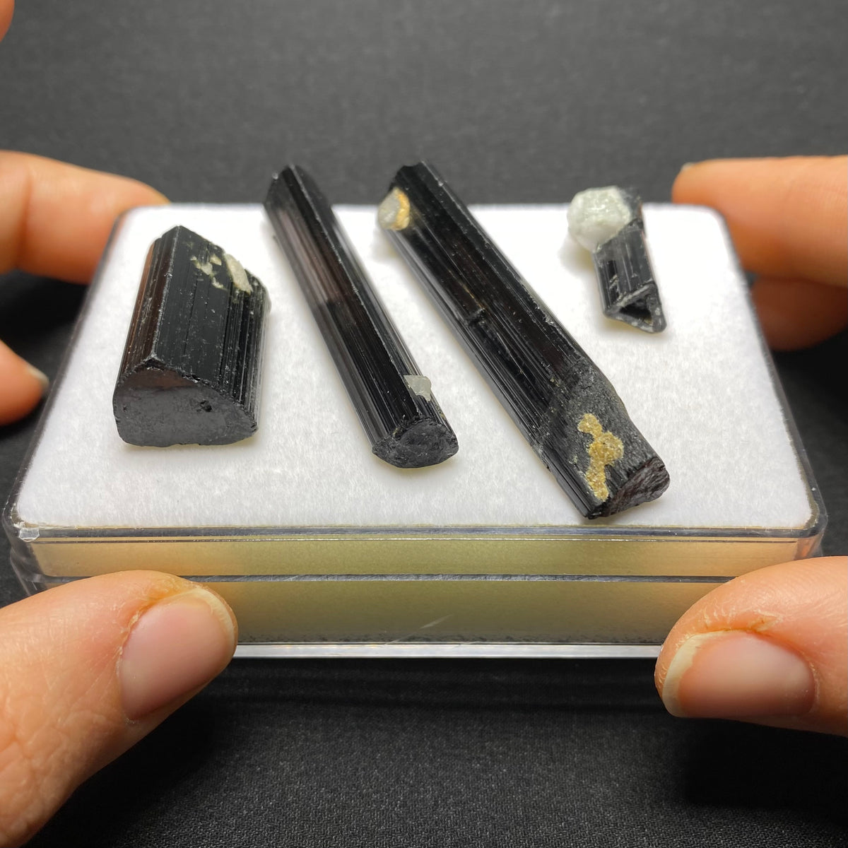 Black Tourmaline Crystal