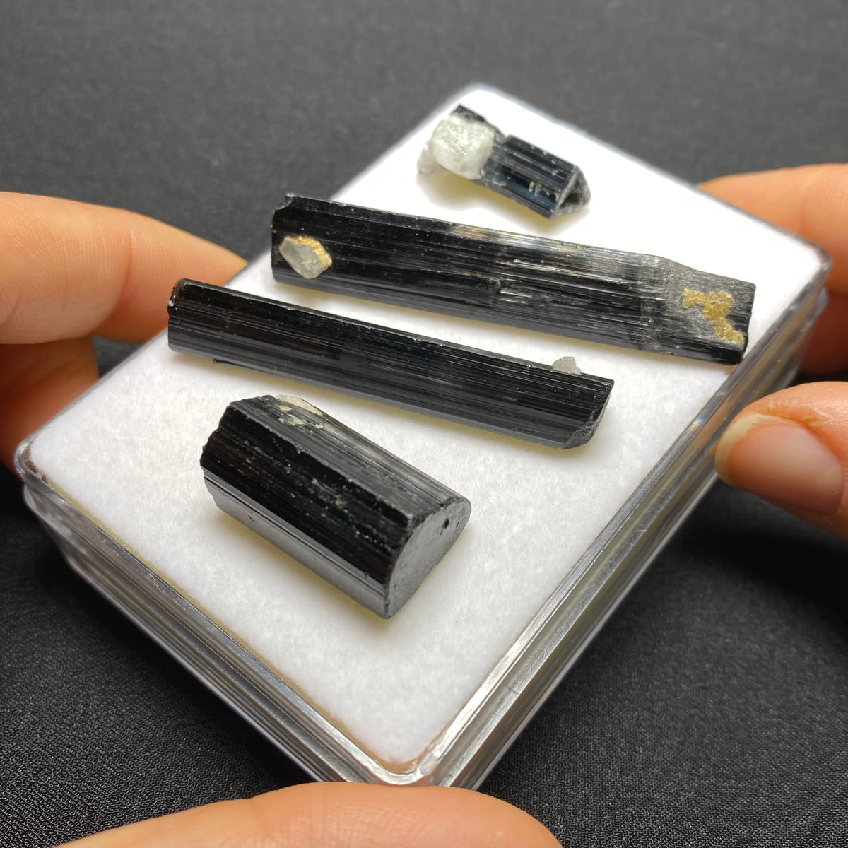 Black Tourmaline Crystal