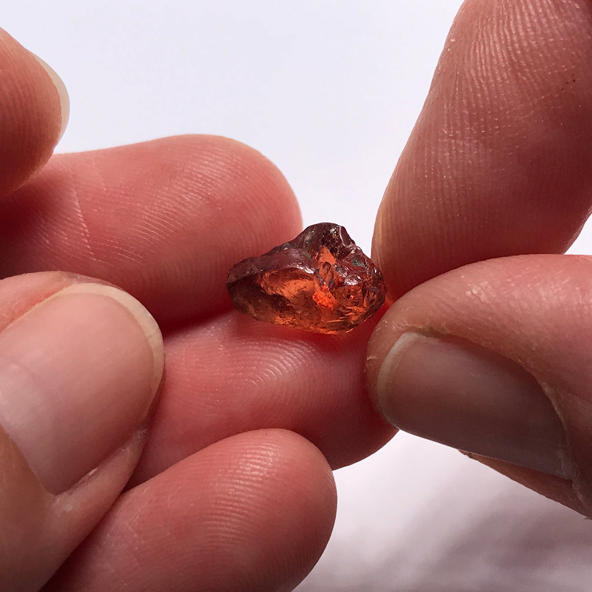 Tangawizi Malaya Garnet