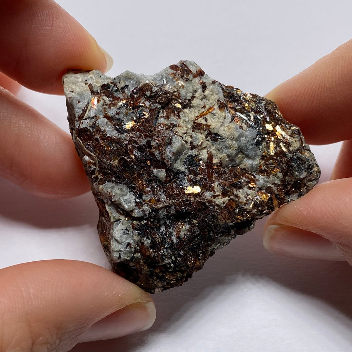 Astrophylite - Russia