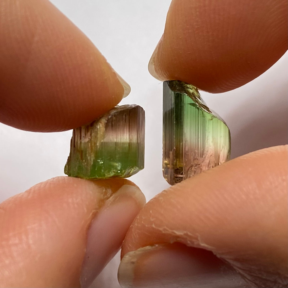 Bi-Color Tourmaline - Rubaya, DRC