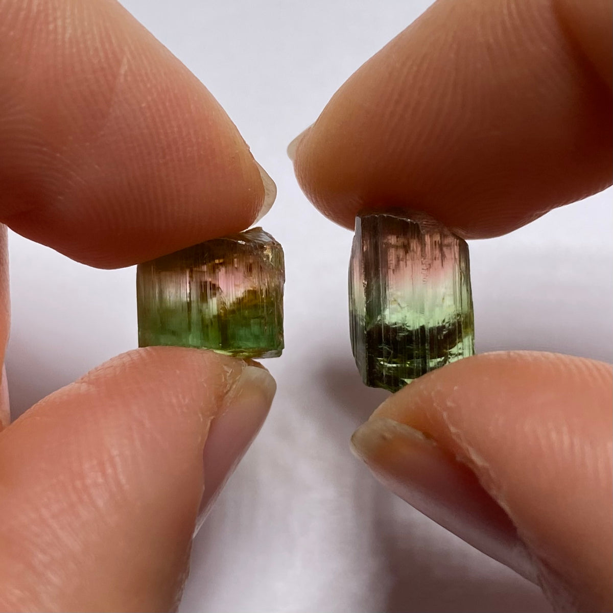 Bi-Color Tourmaline - Rubaya, DRC