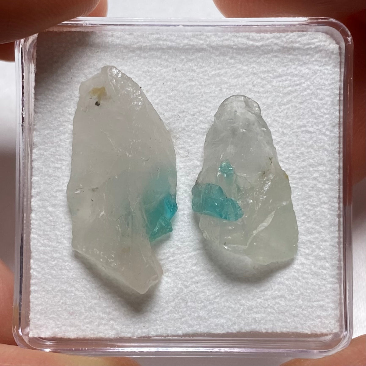 Paraiba Tourmaline in Quartz - Brazil
