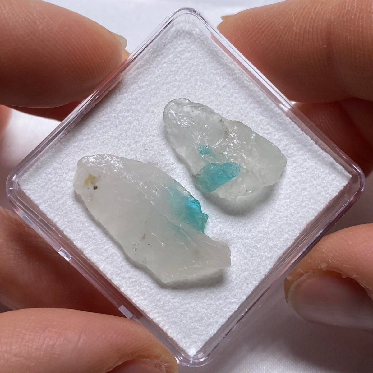 Paraiba Tourmaline in Quartz - Brazil