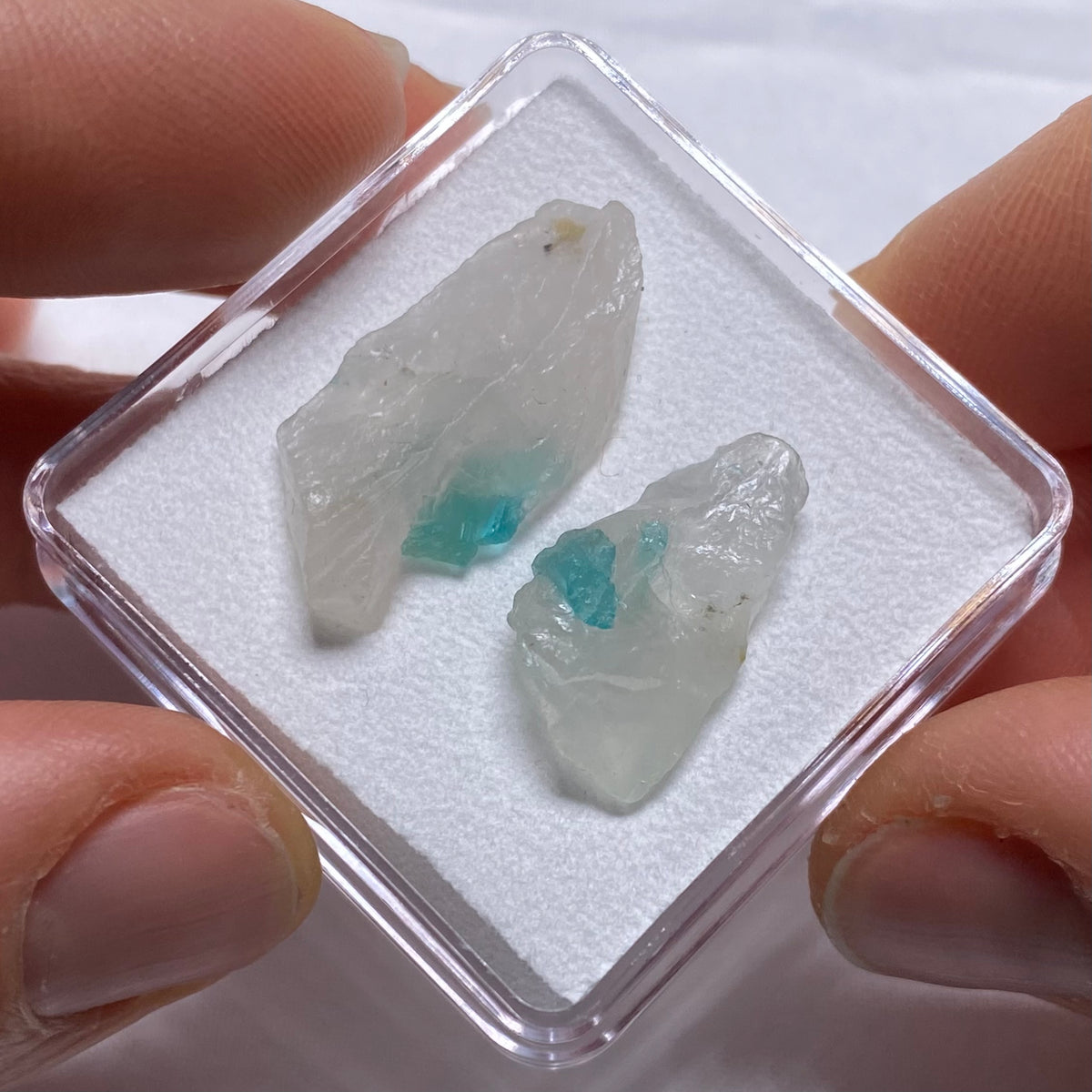 Paraiba Tourmaline in Quartz - Brazil