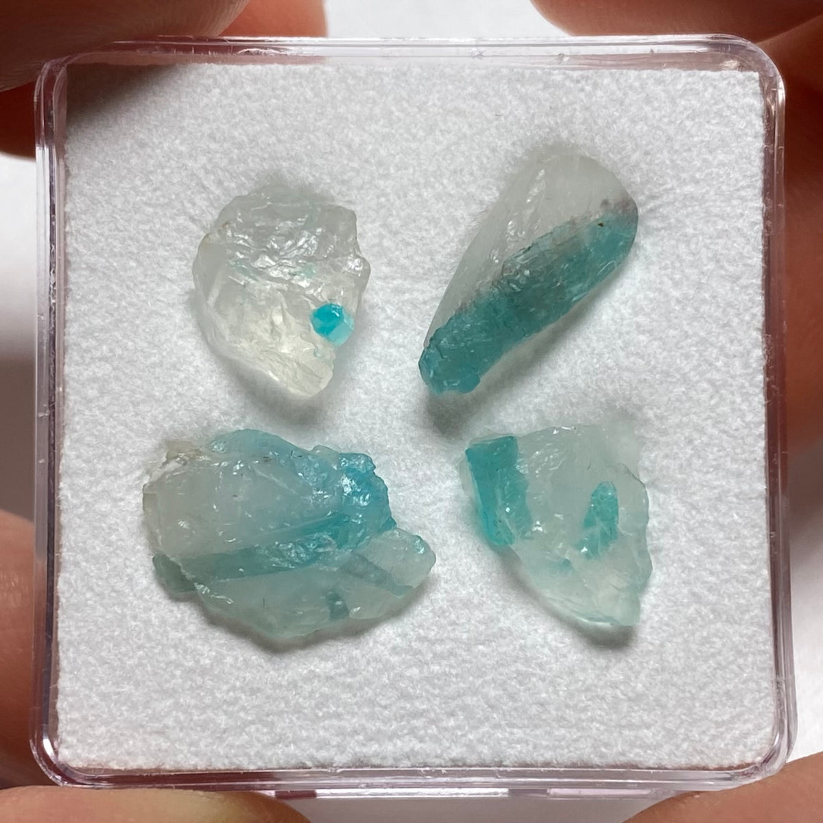 Paraiba Tourmaline in Quartz - Brazil