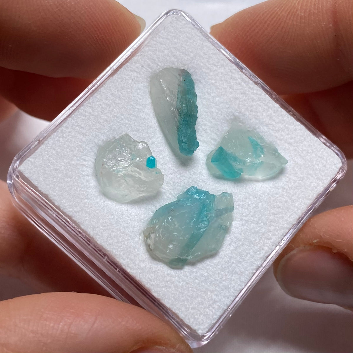 Paraiba Tourmaline in Quartz - Brazil