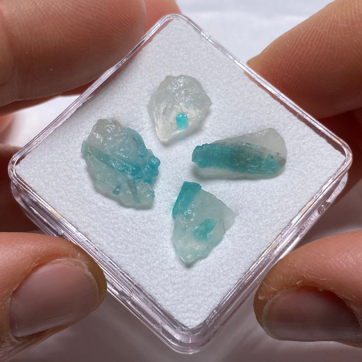 Paraiba Tourmaline in Quartz - Brazil