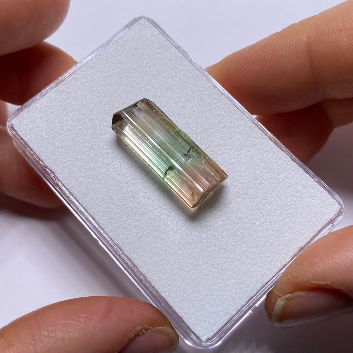 Tourmaline - Rubaya, DRC