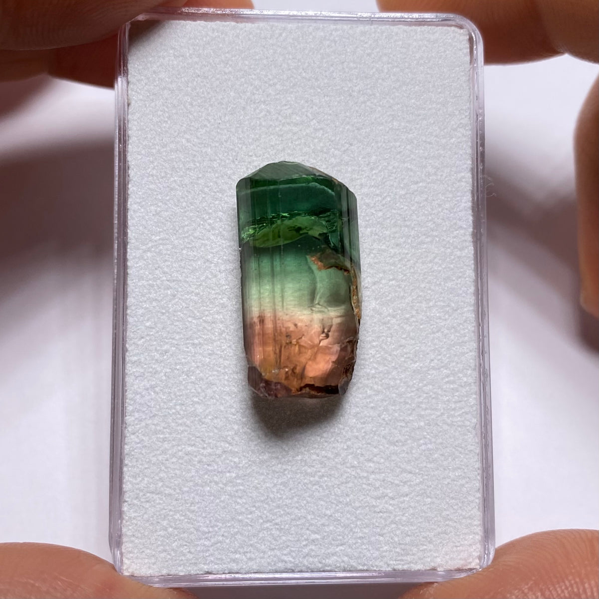 Tourmaline - Rubaya, DRC