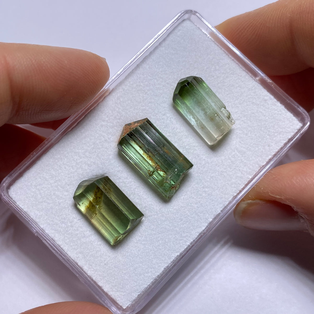 Bi-Color Tourmaline Crystals - Rubaya, DRC