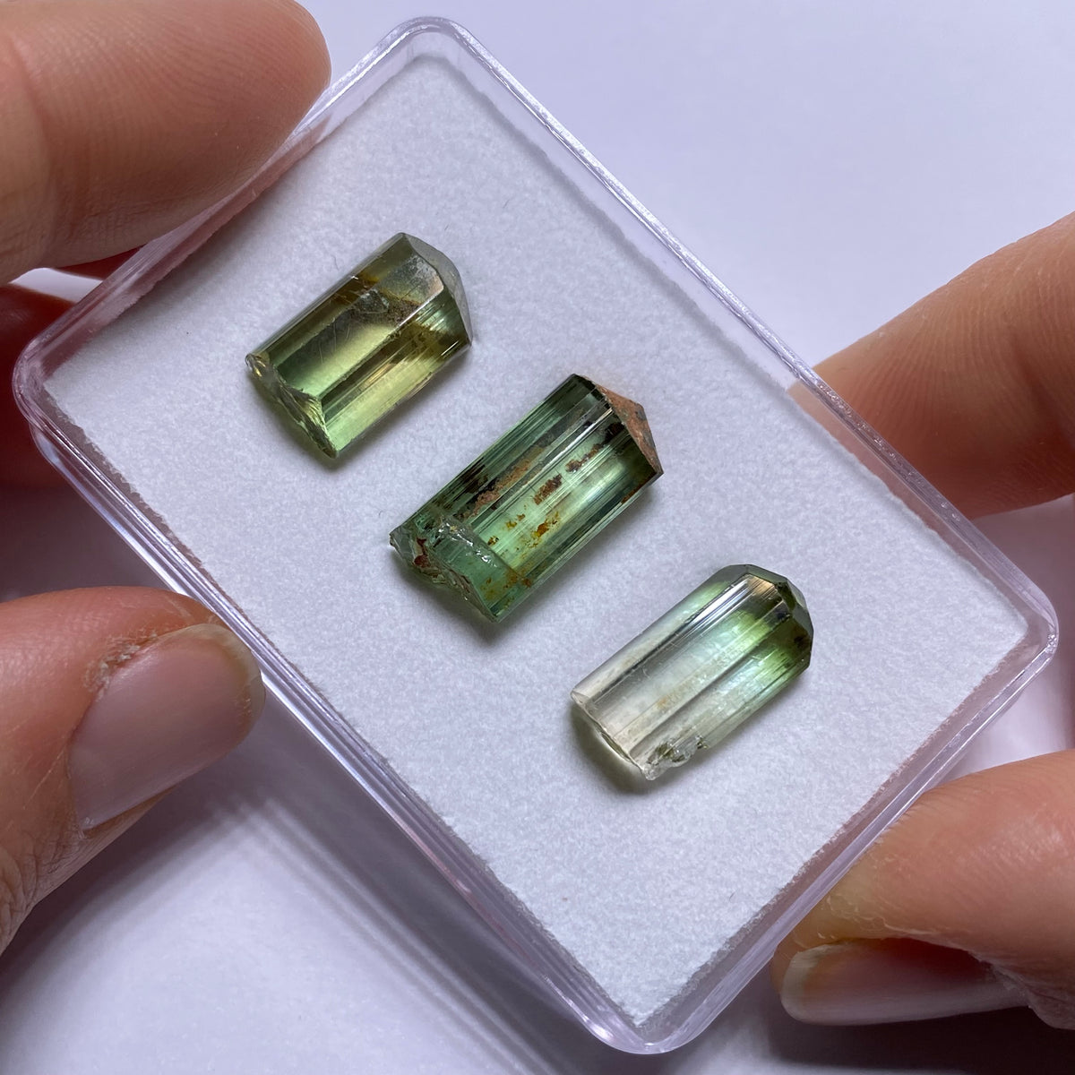 Bi-Color Tourmaline Crystals - Rubaya, DRC