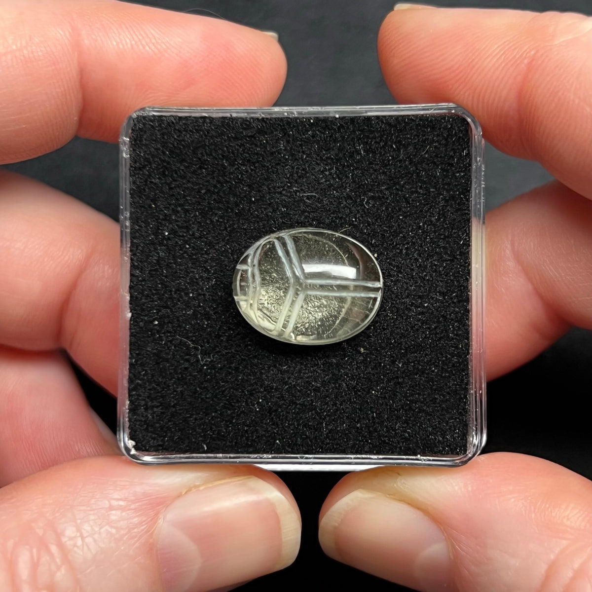 Libyan Desert Glass Scarab