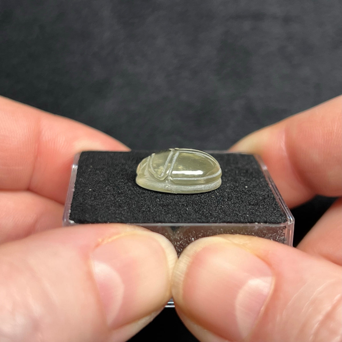 Libyan Desert Glass Scarab