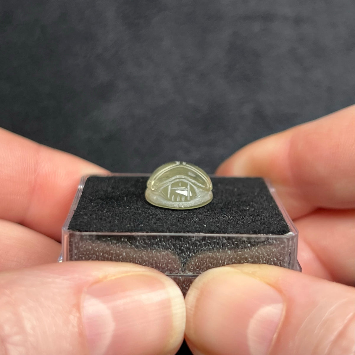 Libyan Desert Glass Scarab