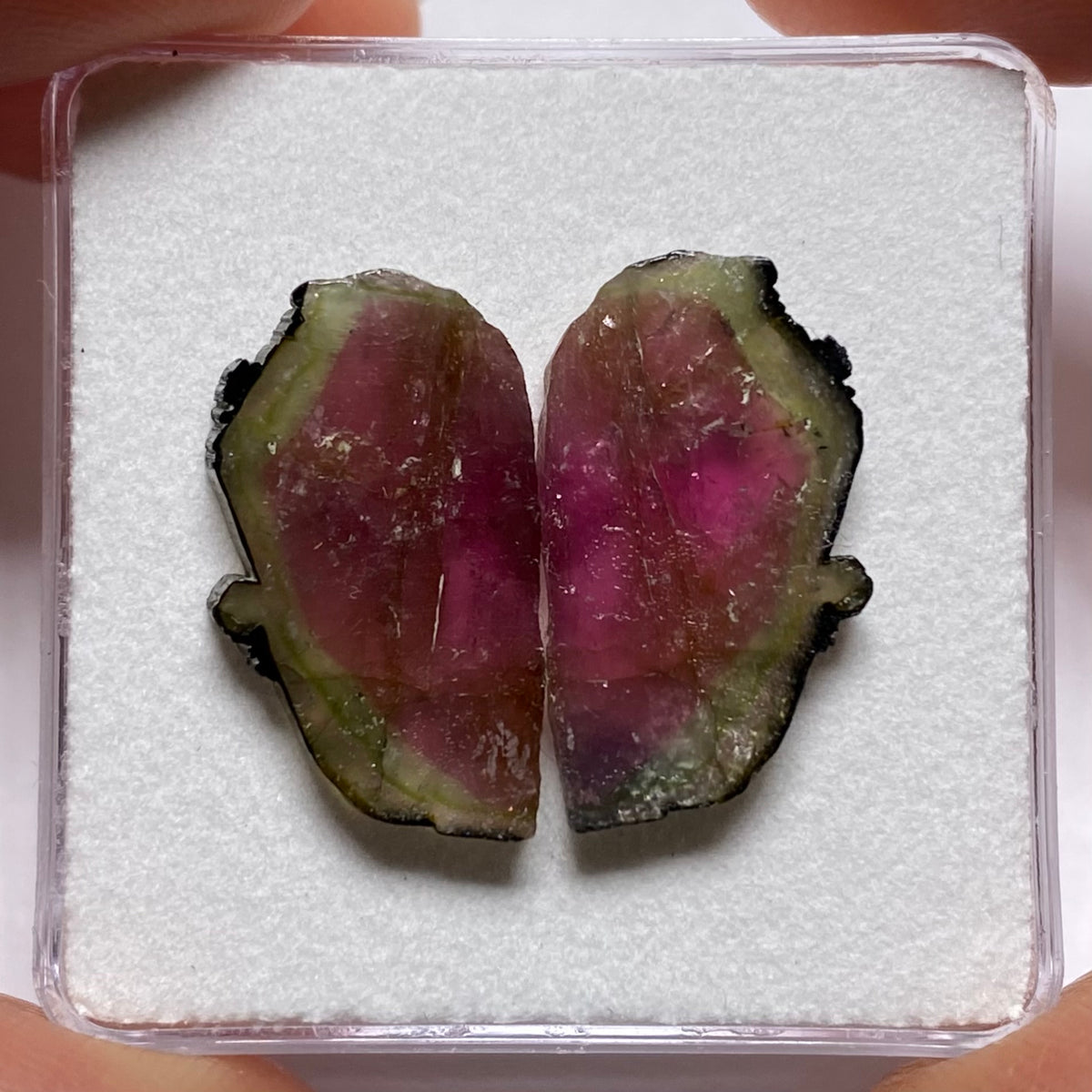 Old-Stock Watermelon Tourmaline Slices - Brazil