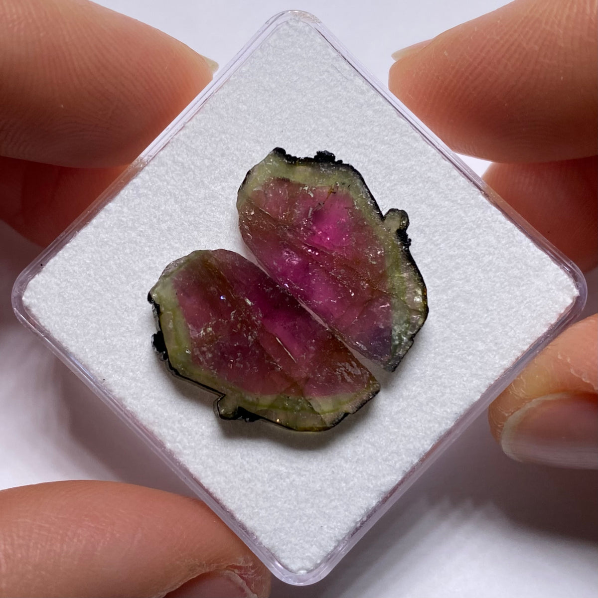 Old-Stock Watermelon Tourmaline Slices - Brazil