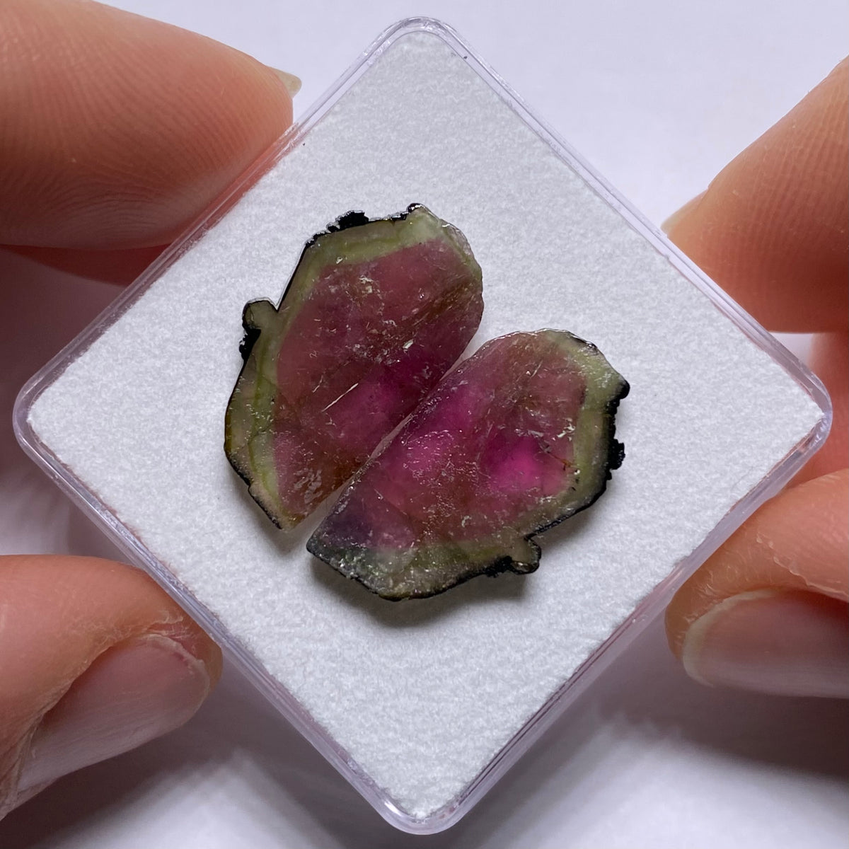Old-Stock Watermelon Tourmaline Slices - Brazil