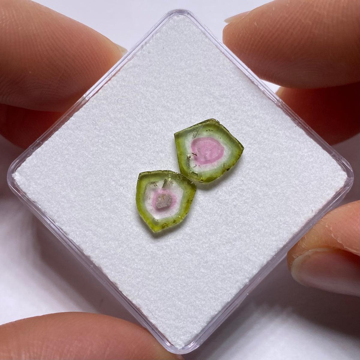 Old-Stock Watermelon Tourmaline Slices - Brazil