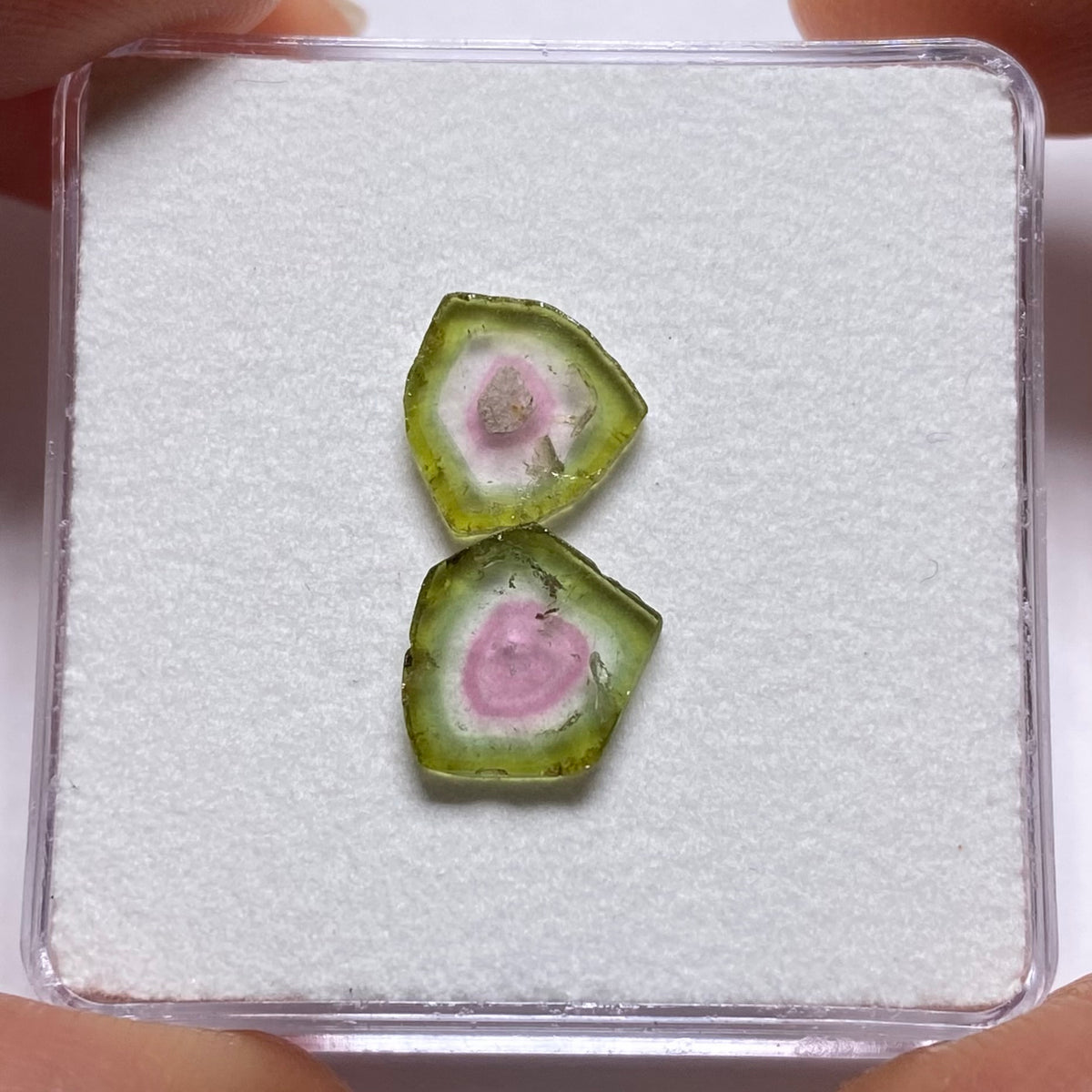 Old-Stock Watermelon Tourmaline Slices - Brazil