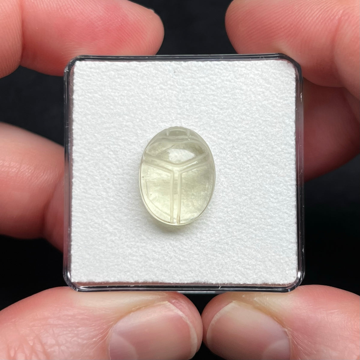 Libyan Desert Glass Scarab