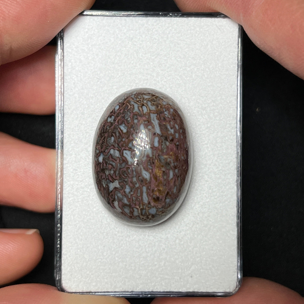 Fossilized Dinosaur Bone Cabochon