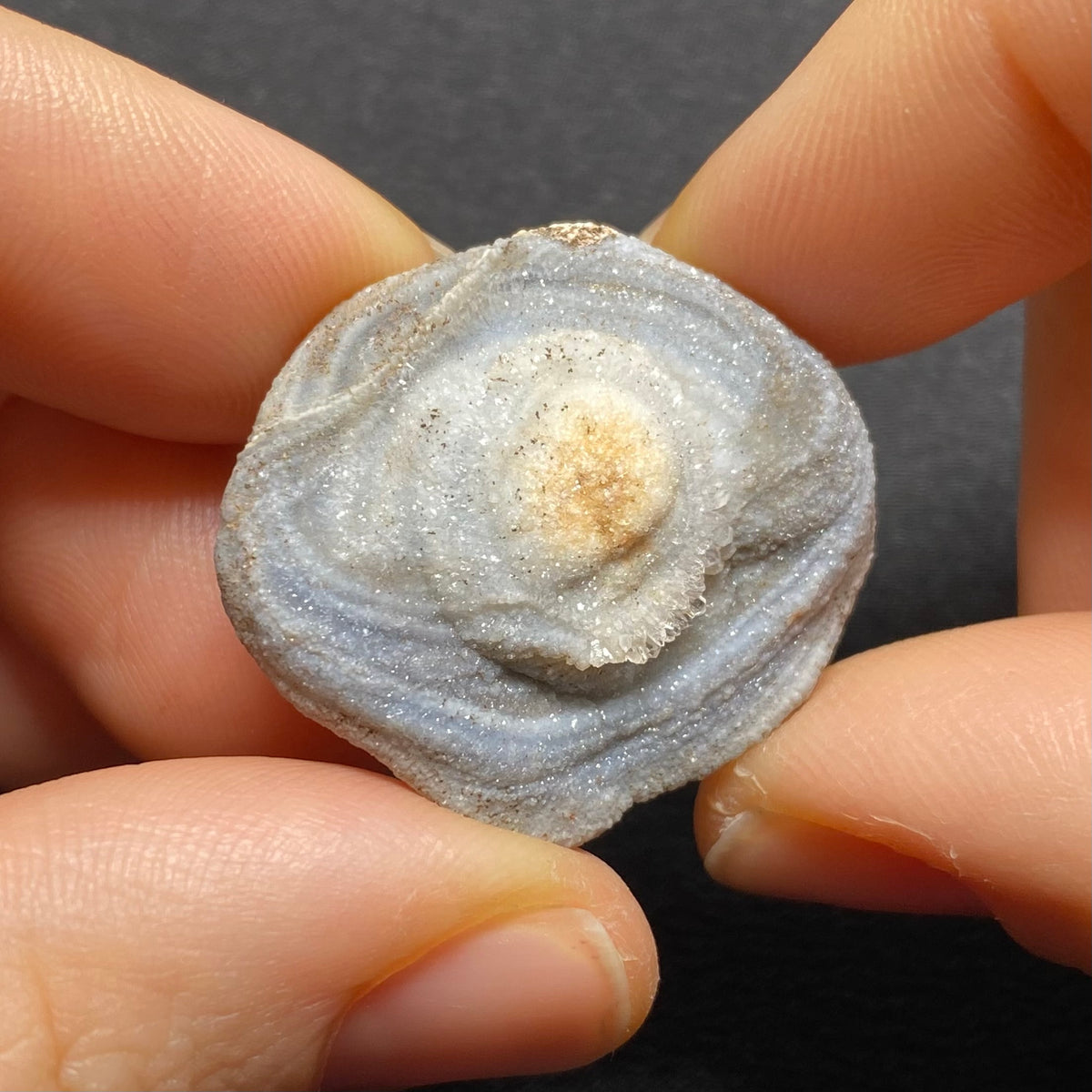 Oyster Agate - Mexico