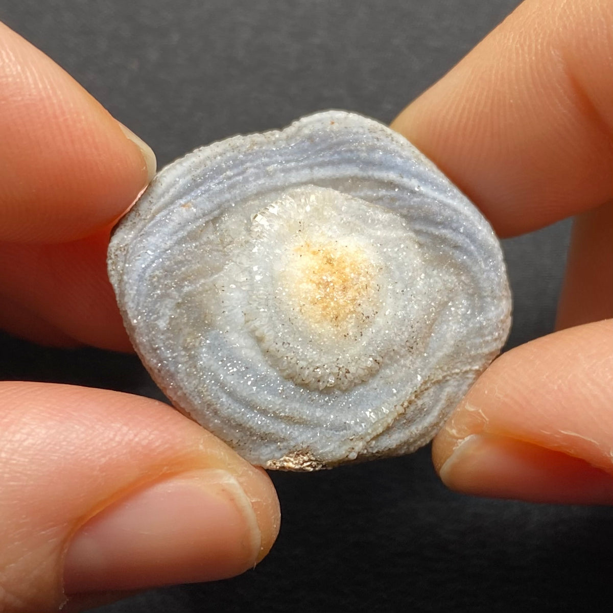 Oyster Agate - Mexico