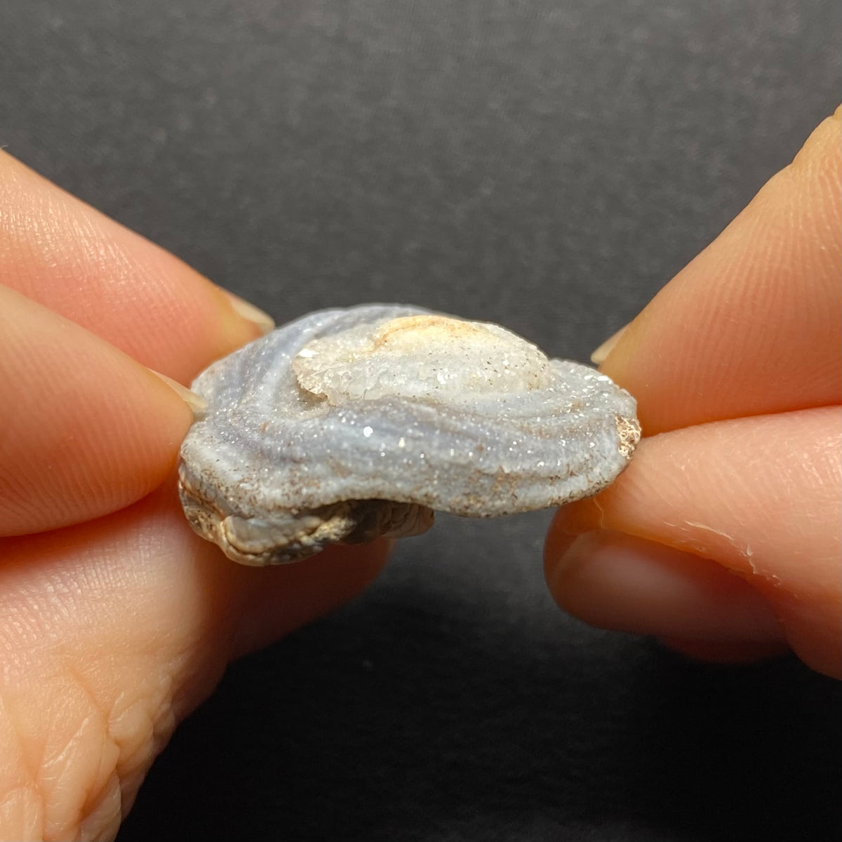 Oyster Agate - Mexico