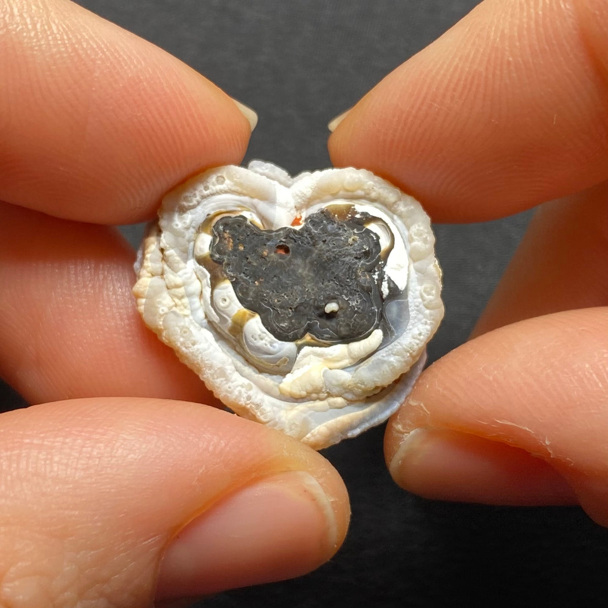 Oyster Agate - Mexico