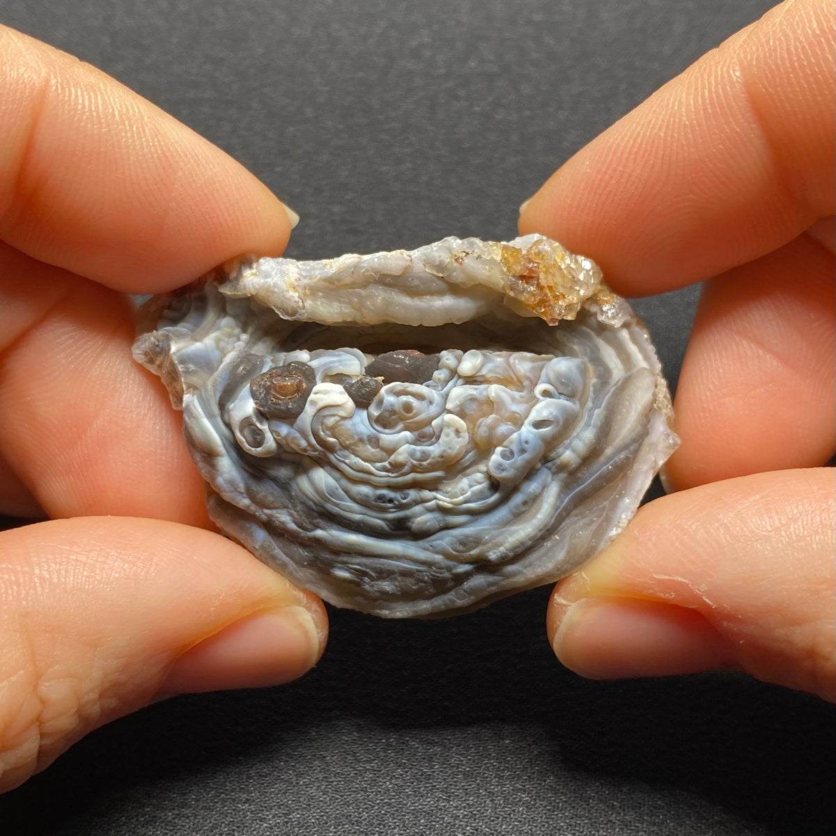 Oyster Agate - Mexico