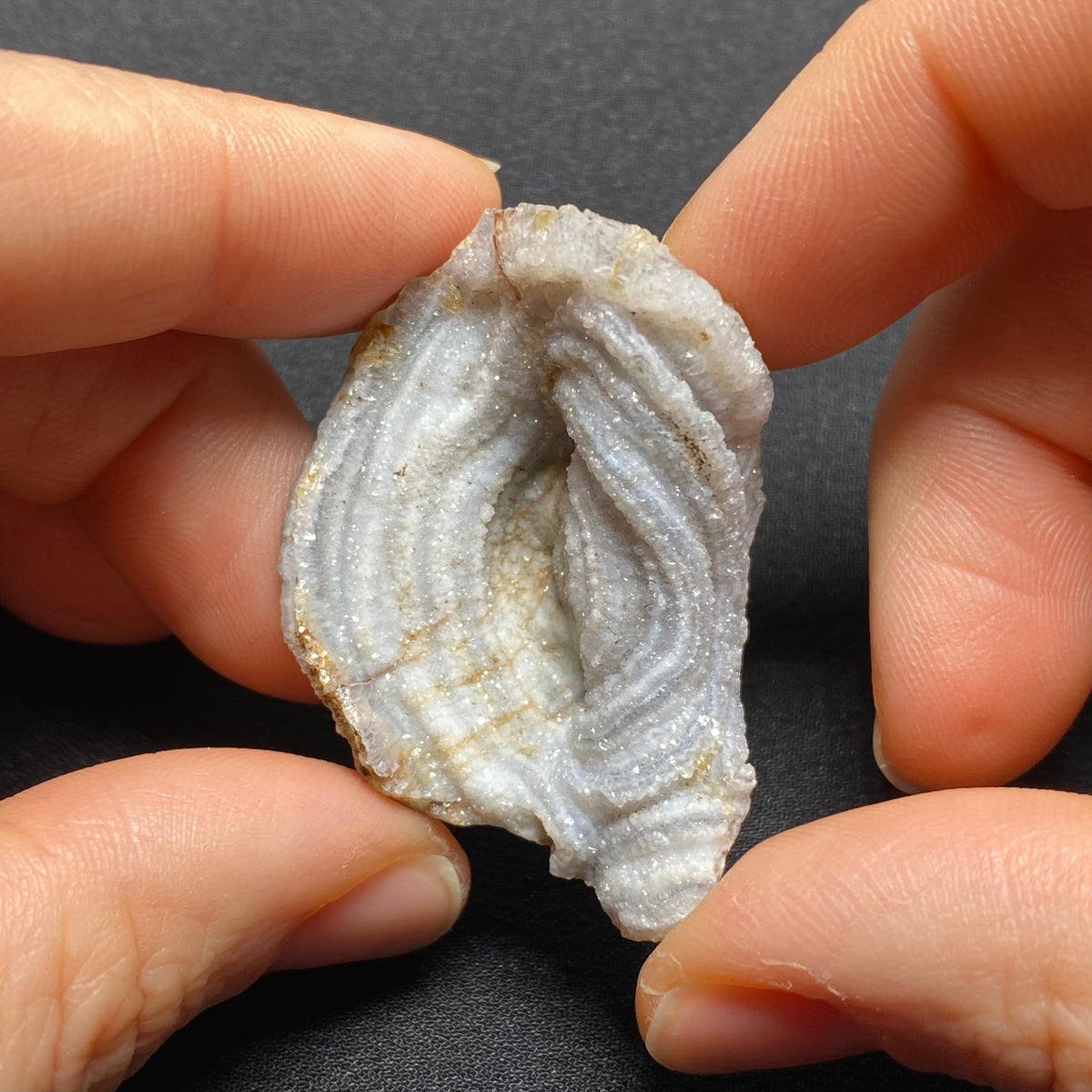 Oyster Agate - Mexico