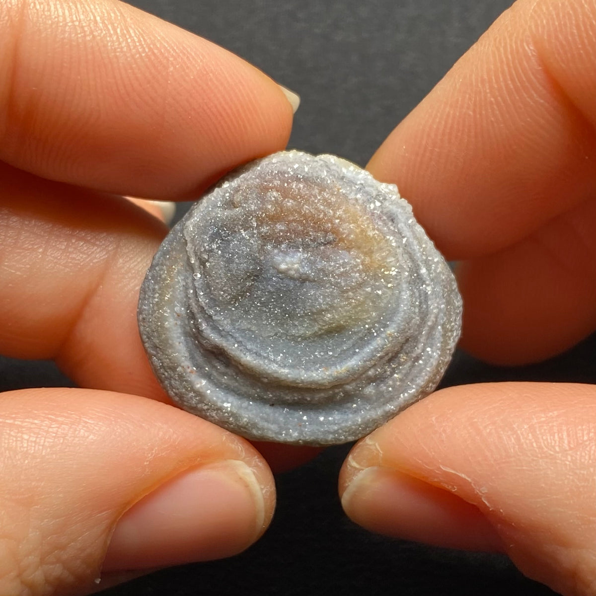 Oyster Agate - Mexico