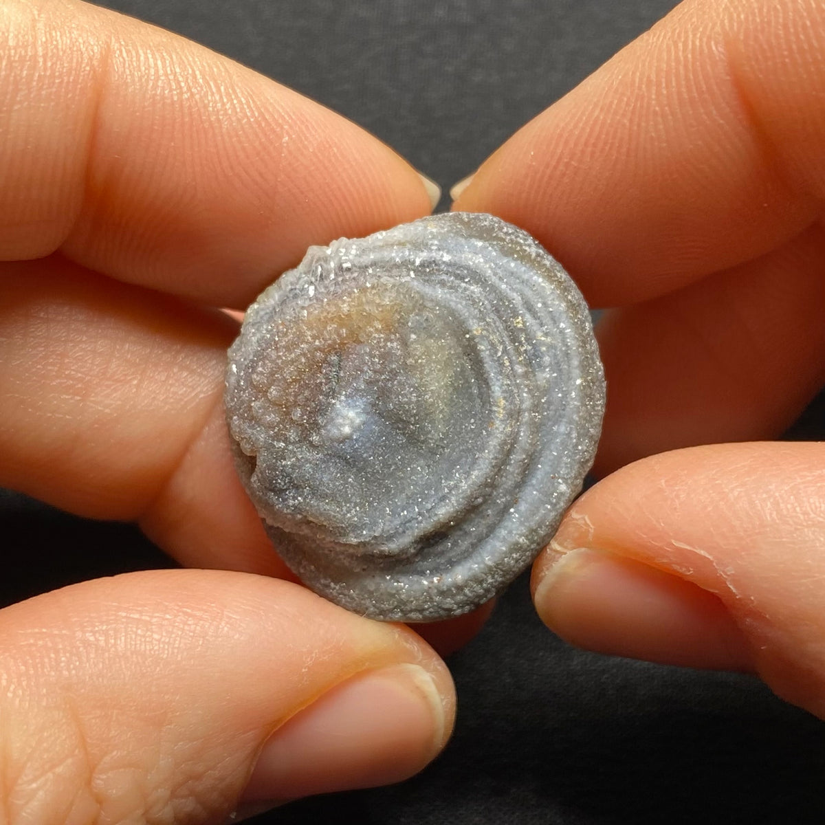 Oyster Agate - Mexico