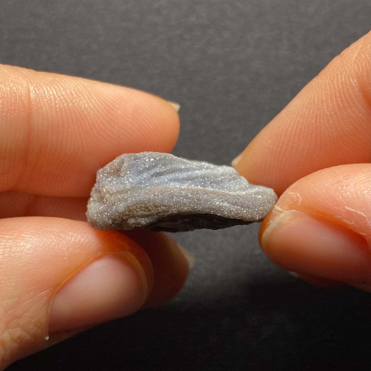 Oyster Agate - Mexico