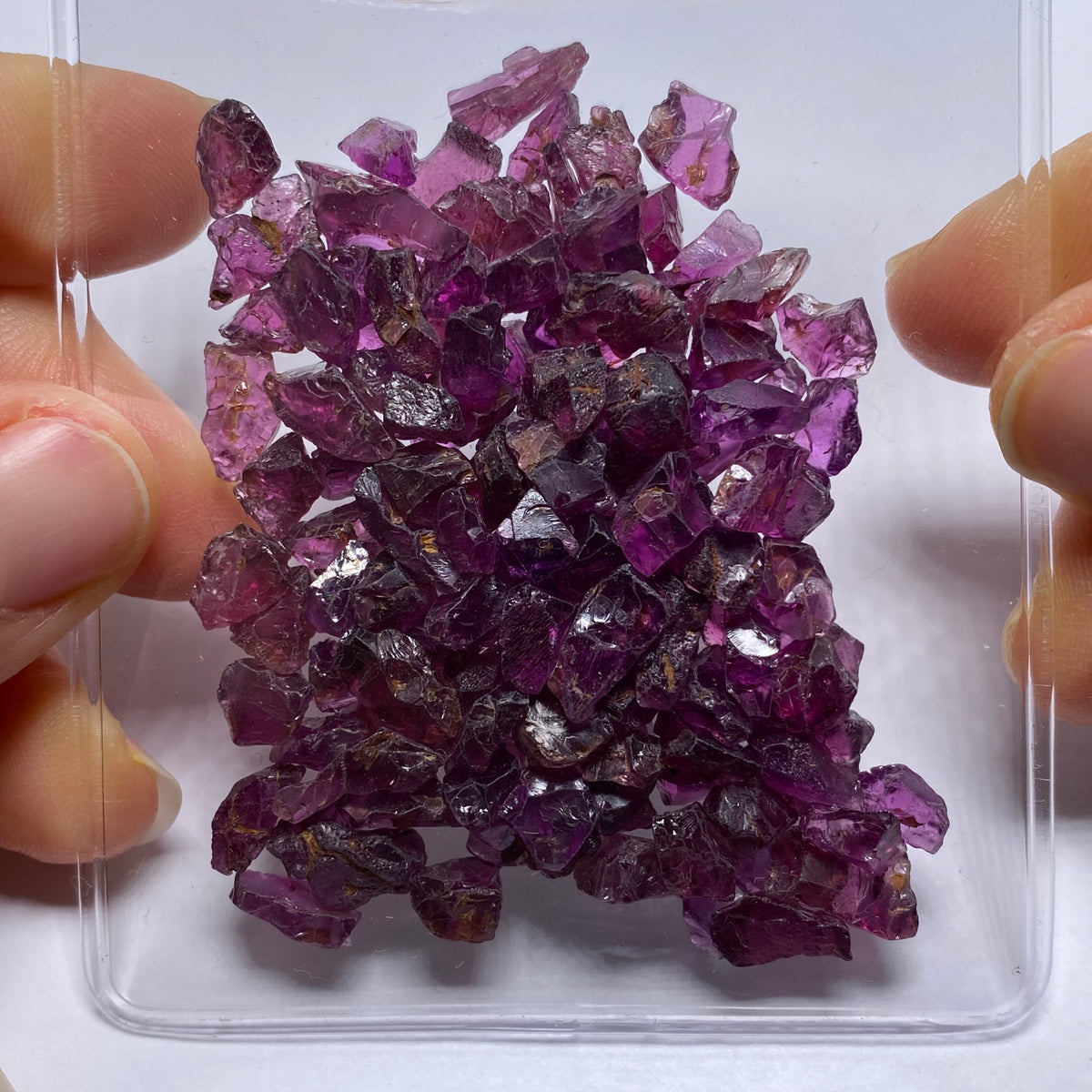 Purple garnet - Mozambique