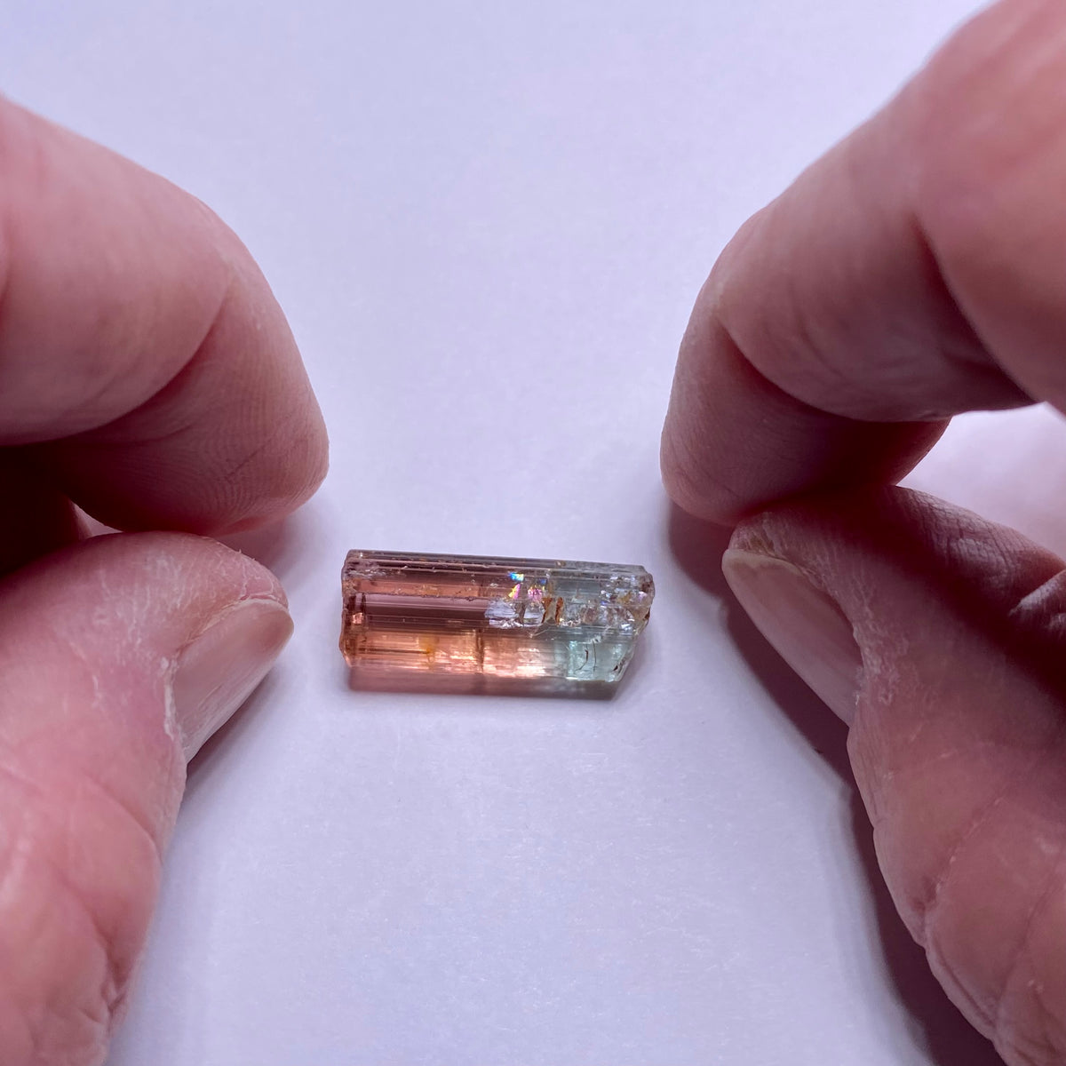 Bi-Color Tourmaline - Congo