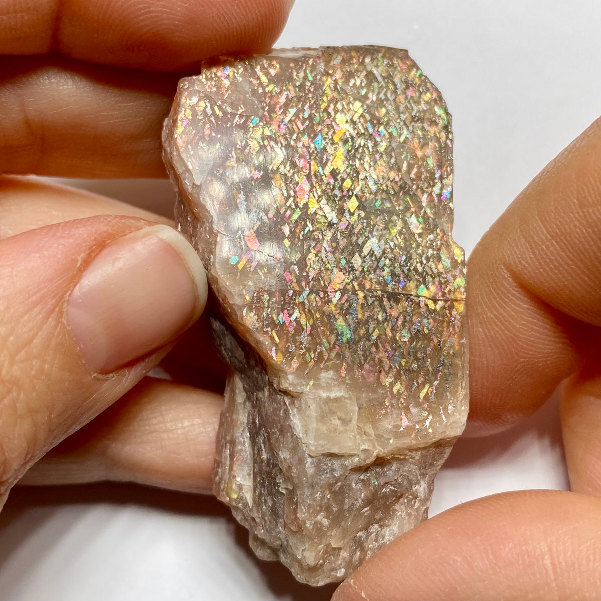 Lattice Sunstone - Tanzania