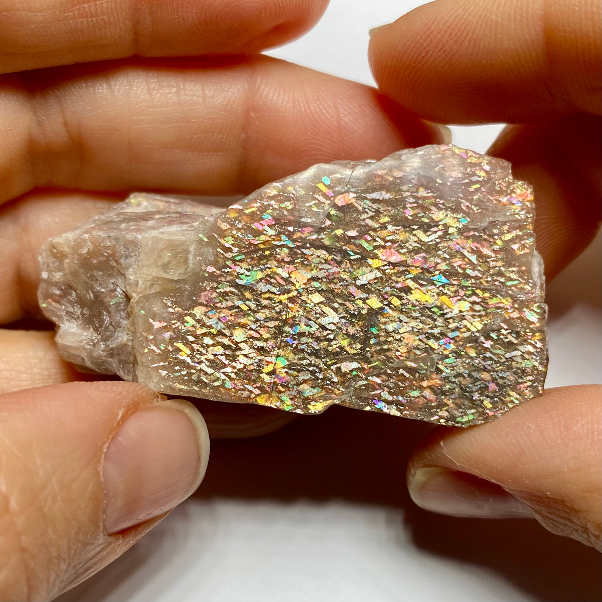 Lattice Sunstone - Tanzania